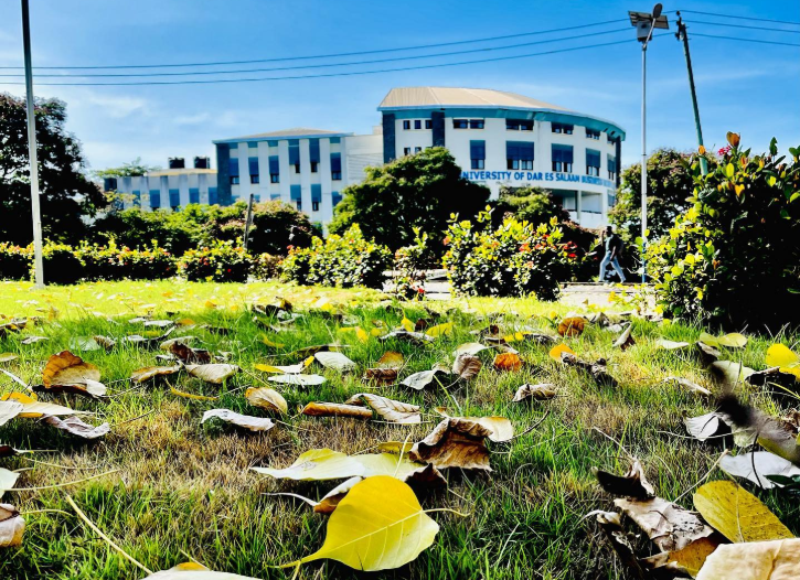 7 UDSM Business Courses: Discover the Top Programs, Requirements, and Study Duration for a Successful Career 28 The UDSM Business Courses: The University of Dar es Salaam Business School (UDBS) prepares graduates for what they will actually practice in the real world.