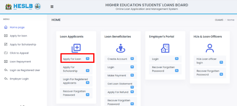 How to Fix Mistakes After Submitting Your HESLB Application: A Simple Guide to Secure Your Loan Success 2025 28 How to Fix Mistakes After Submitting Your HESLB Application: